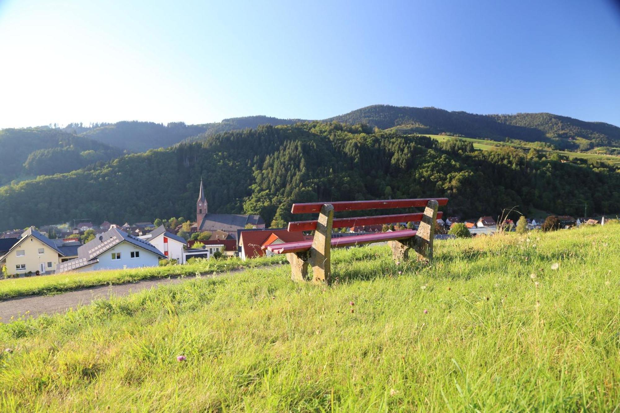 Appartement Schwarzwaldstueble Oberharmersbach Exterior foto